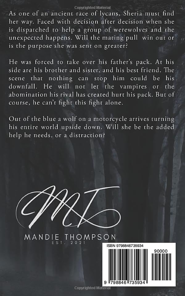 His Queen Paperback